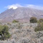 Bilder vom Kilimandscharo