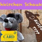 Schaukelweg und Rollerkartstrecke Mönichkirchen